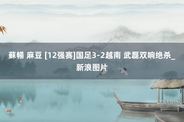 蘇暢 麻豆 [12强赛]国足3-2越南 武磊双响绝杀_新浪图片