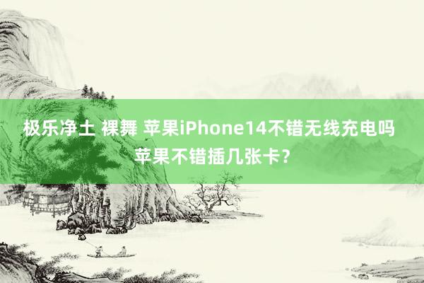 极乐净土 裸舞 苹果iPhone14不错无线充电吗 苹果不错插几张卡？