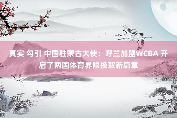 真实 勾引 中国驻蒙古大使：呼兰加盟WCBA 开启了两国体育界限换取新篇章