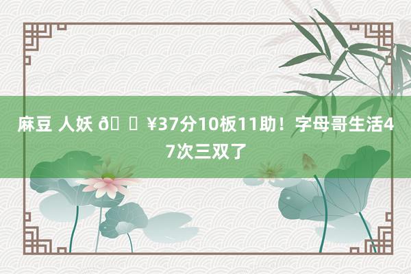 麻豆 人妖 🔥37分10板11助！字母哥生活47次三双了