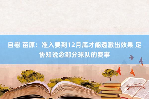 自慰 苗原：准入要到12月底才能透澈出效果 足协知说念部分球队的费事