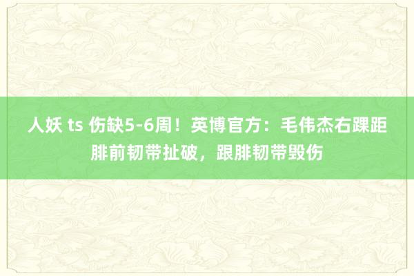 人妖 ts 伤缺5-6周！英博官方：毛伟杰右踝距腓前韧带扯破，跟腓韧带毁伤